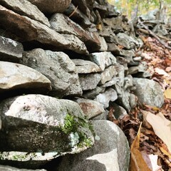 Stone wall or rock ledge with fall foliage