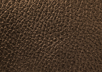 Brown skin texture with abstract pattern of folds and veins, background