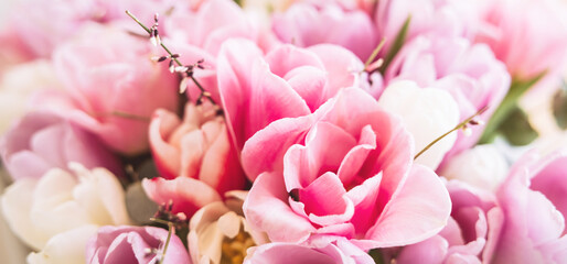 Bouquet of bright colorful tulips. Beautiful pastel pink floral background. Spring flowers. Banner