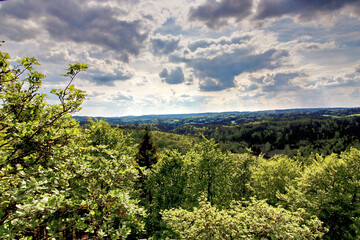 Fototapeta na wymiar scenic view of upper franconian woodlands
