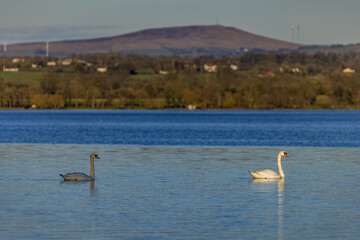 Rams Island, lough Neagh's largest Island, County Antrim, Northern Ireland
