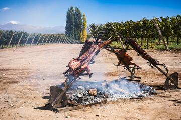 A goat barbeque over an open fire. Argentinian style. 