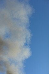 Fototapeta na wymiar Smoke and sky. Smoke in air. Carbon monoxide and blue sky.