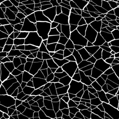  Seamless pattern. cracks texture white and black. Vector background. For design and decorate path, wall, backdrop. Endless  stone texture. Broken glass