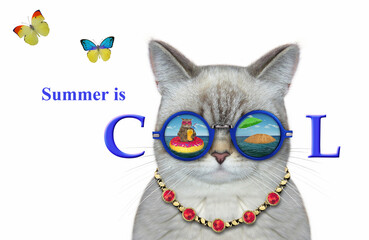 An ashen cat wears sunglasses with the reflection of an island in them. Summer is cool. White background. Isolated.