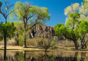 Rocky Landscape Big Bend National Park