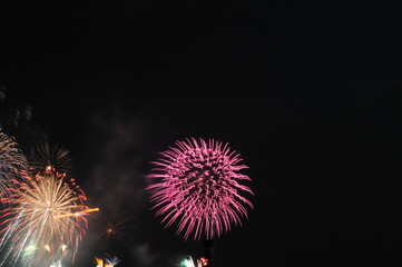 Fototapeta premium 花火