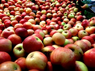 Close-up pile of red and green apples