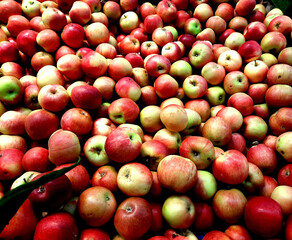 Natural or organic apples. 