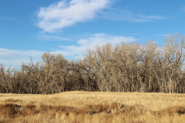 Rocky Mountain Arsenal National Wildlife Refuge