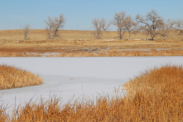 Rocky Mountain Arsenal National Wildlife Refuge
