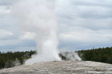 Old Faithful in Yellowstone