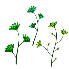 Natural plant. Abstract doodle flower. Sketch green Stem with leaves