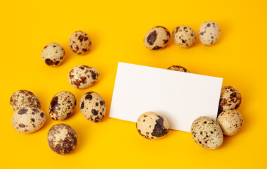 Banner with visiting card, quail eggs, feather on yellow paper background. Copy space. Empty text place. Mockup design of Easter holiday decoration. Healthy food. Business card. Paper note, message