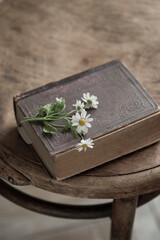 vintage still life with book and white flowers of chamomile daisy, summer background