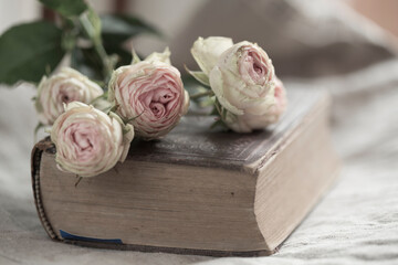 vintage book and roses still life, romantic