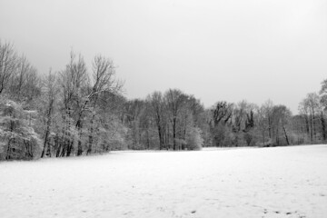 After one night of snow, the English Garden of Munich is covered by snow in April.