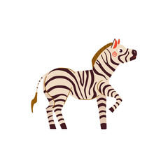 Fototapeta na wymiar Zebra vector flat cartoon illustration. Cute african zebra isolated on white background for prints, stickers, cards and kids design