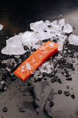 Raw salmon steaks on ice black background