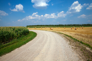 Fototapeta na wymiar features on paved sandy road in rural area