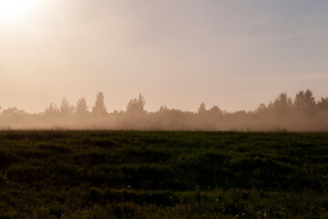 beautiful sky of warm orange colors during sunset