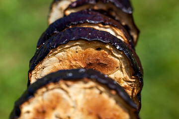 barbecue with cooking fresh eggplant on the fire