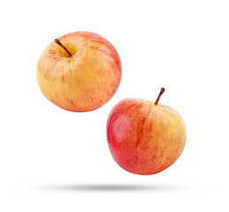 Whole red yellow apple falling in the air isolated on white background.