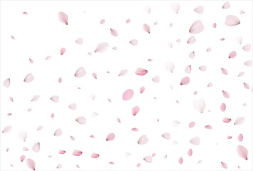 Fototapeta na wymiar Sakura petals. Cherry petals backdrop