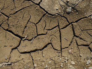 dried soil surface in a field