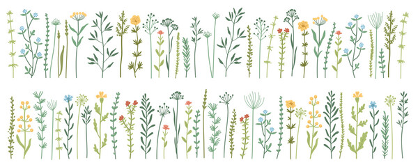 Garden and wild foliage, flowers, branches vector illustration. Wildflowers, herbs, leafs. Creative vector floral elements for postcard decoration packaging. Collection of wild meadow herbs, flowers