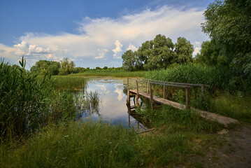 Fototapeta premium landscape with small bridge on a lake in Ukraine