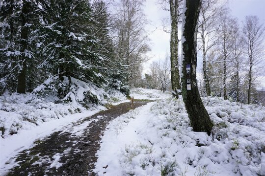 Winterlandschaft Externsteine