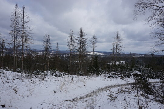 Winterlandschaft Externsteine