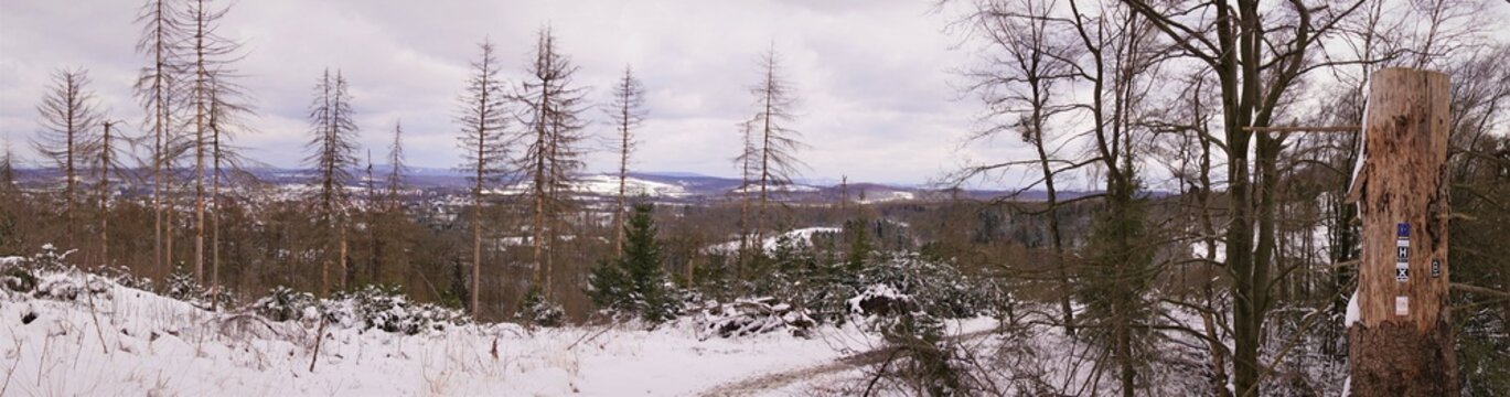 Winterlandschaft Externsteine