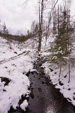 Winterlandschaft Externsteine