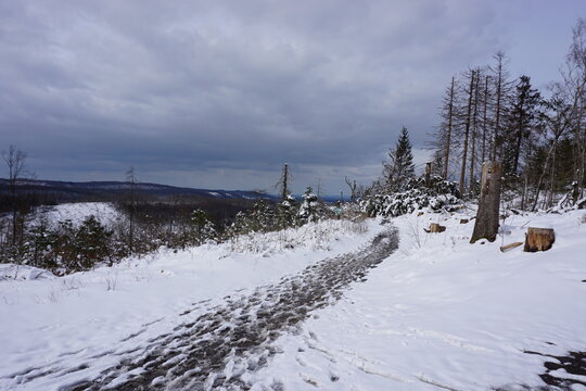 Winterlandschaft Externsteine