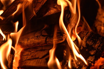 Burning Wood Close Up