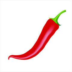 Vector realistic illustration of red chili pepper. Design for food, condiments and spices package, design for grocery recipe website design, cookbook.
