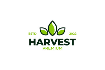 Flat modern harvest leaf logo design vector template