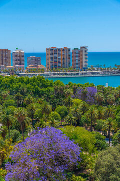 Aerial view of the paseo del parque promenade in Spanish town Malaga.