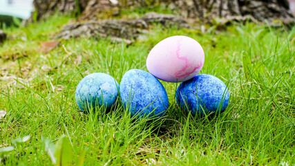 Multicolored Easter eggs ready for egg hunt