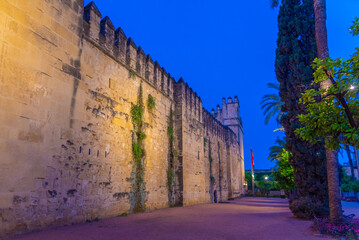 Night view of alcazar de los reyes cristianos - royal palace of the cristian kings in the spanish...