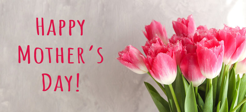 Mother's Day banner. Beautiful pink tulips, and text Happy Mother's Day. Greeting card for a holiday
