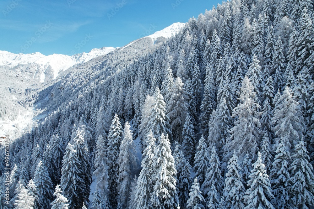 Poster montagna neve nevicata 