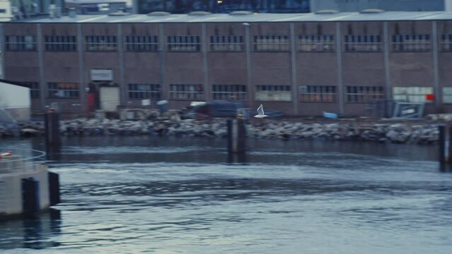 Seagull Flying Over Harbour