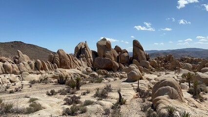 Joshua Tree National Park 