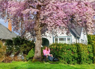 Girl on swing under big pink cherry tree - Victoria, BC, Canada 