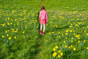 Fototapeta premium girl walking through field of yellow tulips