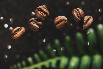 Fototapeta premium closeup of coffee beans against a shiny black background. coffee beans on green leaves background. copy space with coffee beans. coffee beans on the dining table. closeup of coffee beans