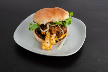 Fried cheese burger with lettuce and onions  on a plate 